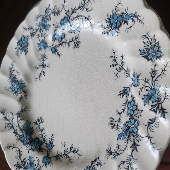 Myott England Forget Me Not Fine Staffordshire Ware Blue Floral Shabby Chic - Picture 13 of 16
